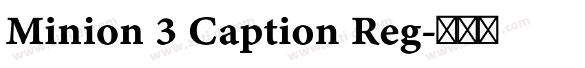 Minion 3 Caption Reg字体转换 Minion 3 Caption Reg字体转换